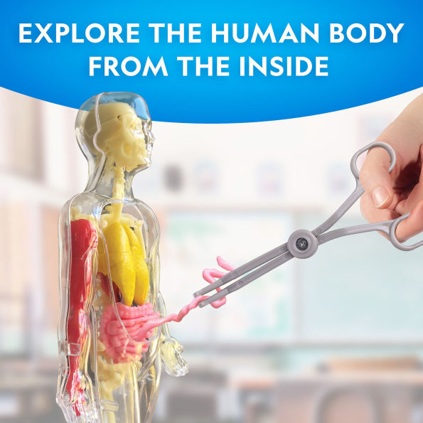National Geographic Glow-In-The-Dark Human Body