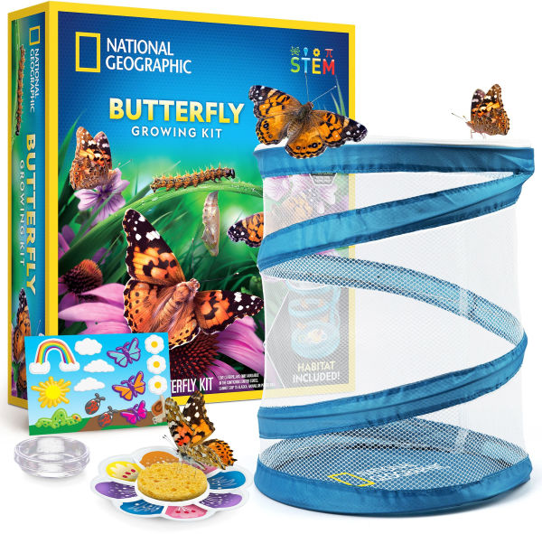National Geographic Butterfly Growing Kit