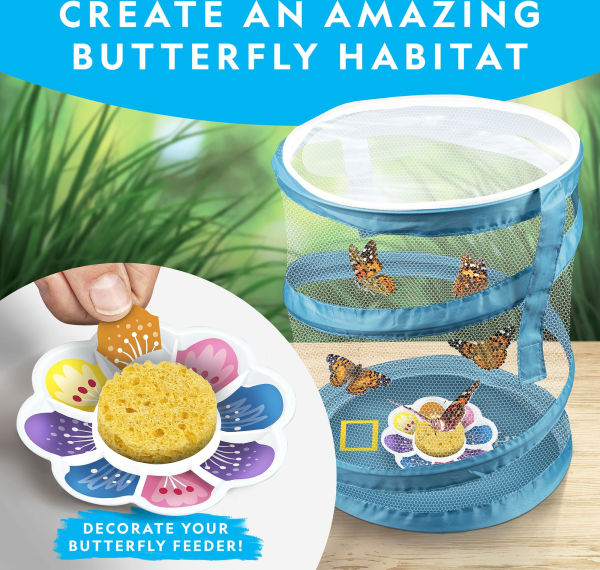 National Geographic Butterfly Growing Kit