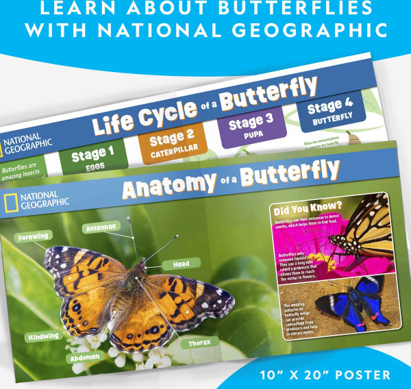 National Geographic Butterfly Growing Kit
