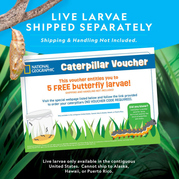 National Geographic Butterfly Growing Kit