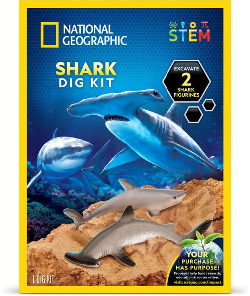 National Geographic Shark Dig kit