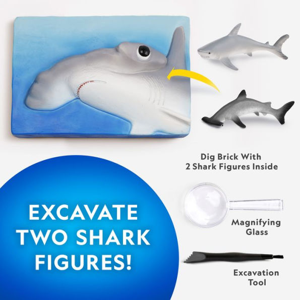 National Geographic Shark Dig kit