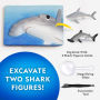 Alternative view 4 of National Geographic Shark Dig kit