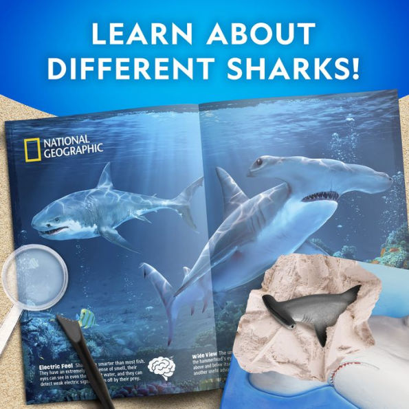 National Geographic Shark Dig kit