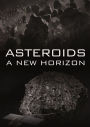 Asteroids: A New Horizon