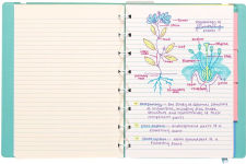 Alternative view 5 of Writer's Duo Double-Ended Fountain Pens + Highlighters (Set of 3)