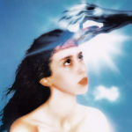 Alternative view 1 of Imaginal Disk