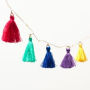 Bright Tassel String Lights