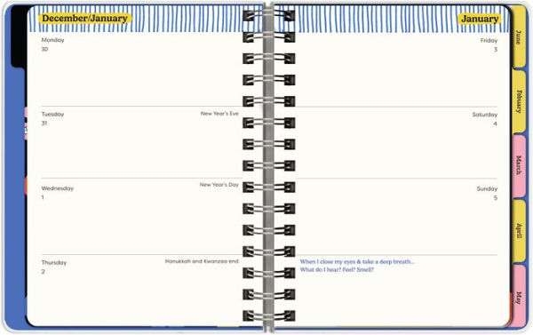 2025 13-month Dated Planner: Everything's Fine