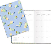 Alternative view 7 of 2024 -2025 Seedlings Pear Monthly Planner