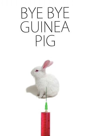 Bye Bye Guinea Pig