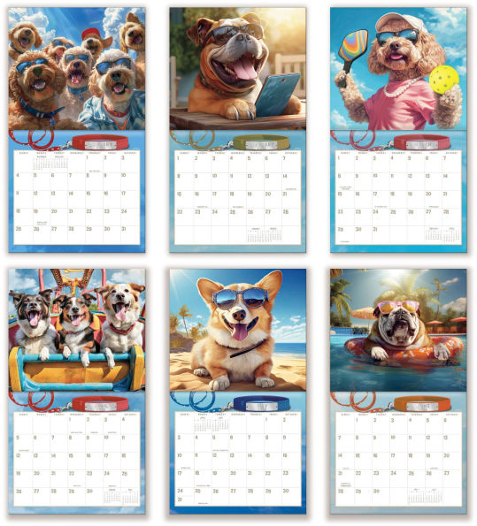 2026 On the Bright Side The Good Life 12 Month Wall Calendar