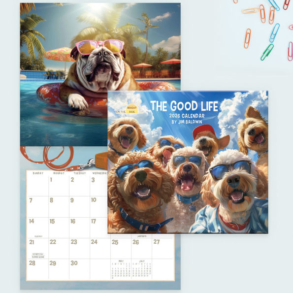 2026 On the Bright Side The Good Life 12 Month Wall Calendar