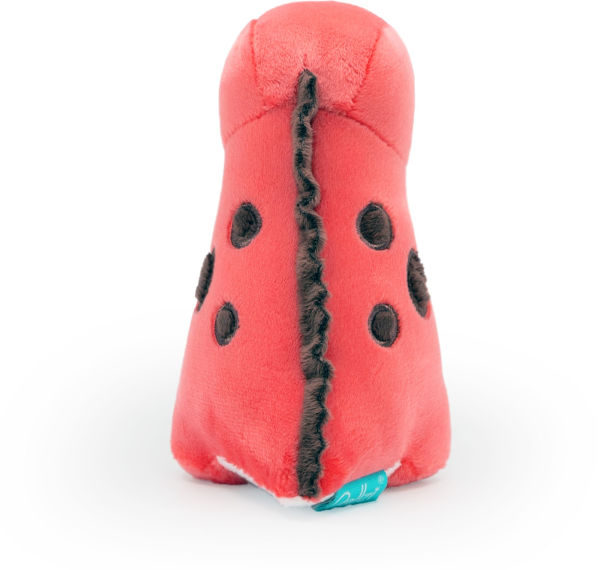 Mini Rexxi Small - 6