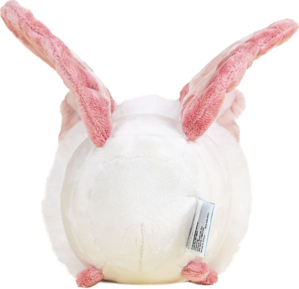 Mini Mothi the Moth