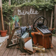 Title: Birdie, Artist: Slaughter Beach