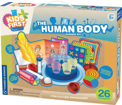 human body educational toys