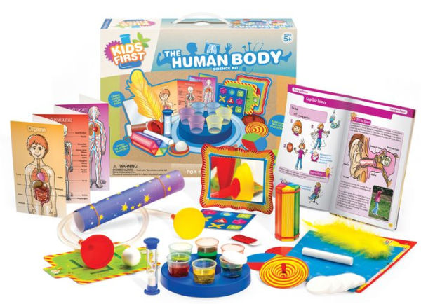 Kids First The Human Body