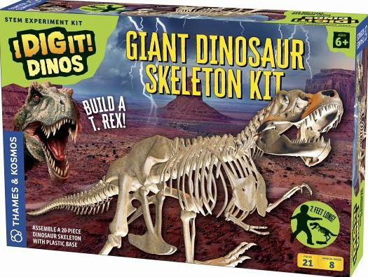 plastic dinosaur skeletons