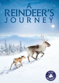 Title: A Reindeer's Journey