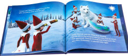 Alternative view 4 of Extraordinary Noorah: Santa's Magical Arctic Fox