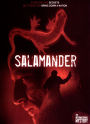 Salamander [4 Discs]