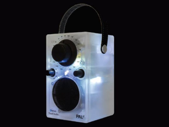 tivoli pal bt speaker