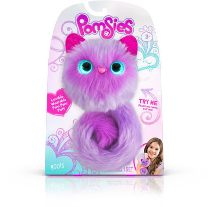 most popular pomsie