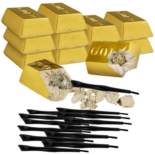 Fool's Gold Dig Kits – National Geographic