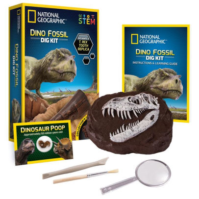 dino dig fossil game