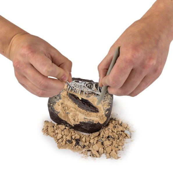 Dino Fossil Dig Kit by National Geographic
