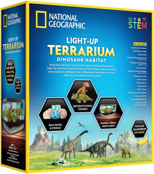 Bryte Dinosaur Light Up Terrarium Kit for Kids: Dino Island with Paintable  Dinosaur & Volcano Figurines