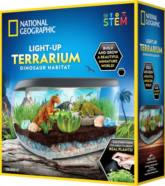 Bryte Dinosaur Light Up Terrarium Kit for Kids: Dino Island with Paintable  Dinosaur & Volcano Figurines