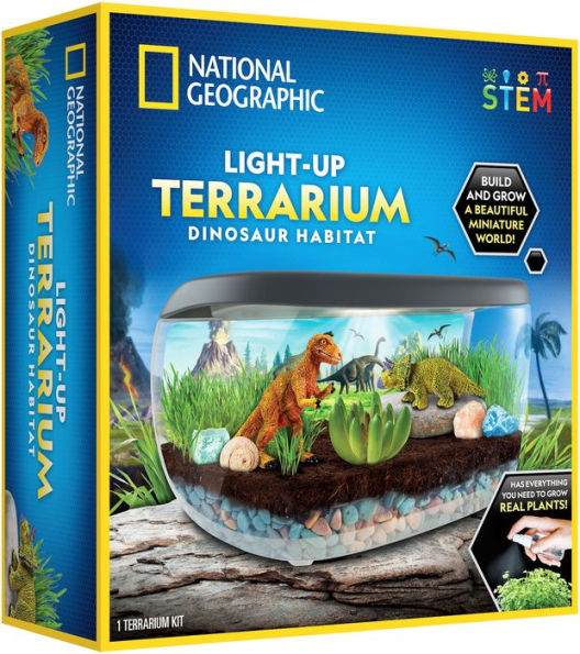 Dinosaur Light Up Terrarium Kit for Kids I Dinosaur Toys Craft