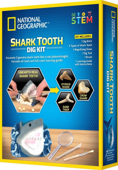  Discovery Kids Extreme Shark Science Teeth Molding Kit : Toys &  Games