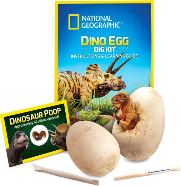 National Geographic Mini Dig Kits – Nature's Nook Children's Toys & Books