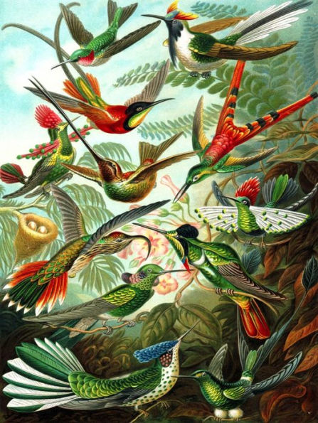 Hummingbirds 1,000 PIECE JIGSAW PUZZLE