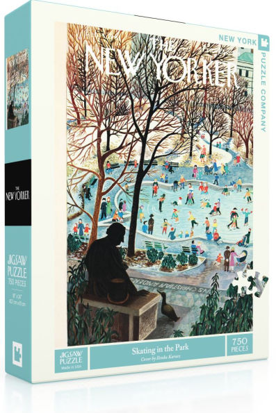 SKATING IN THE PARK 750-PIECE JIGSAW PUZZLE