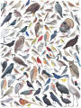 Alternative view 3 of Birds of Eastern/Central North America 1,000 piece puzzle