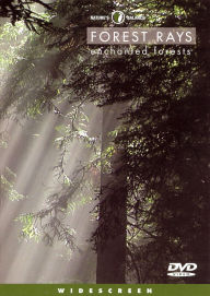 Title: Forest Rays: Enchanted Forests