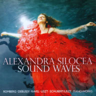 Title: Sound Waves, Artist: Alexandra Silocea