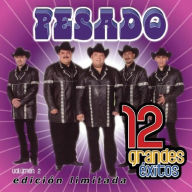 Title: 12 Grandes Exitos, Vol. 2, Artist: Pesado