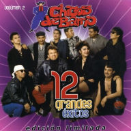 Title: 12 Grandes Exitos, Vol. 2, Artist: Chicos de Barrio