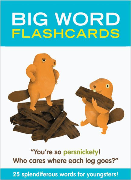 Big Words Flashcards