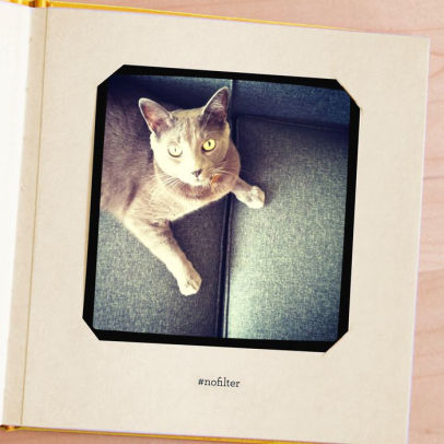 my petsies coupon code