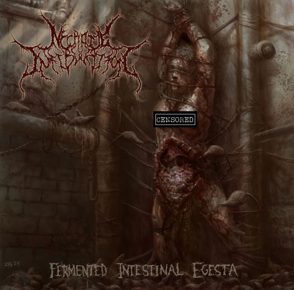 Fermented Intestinal Egesta