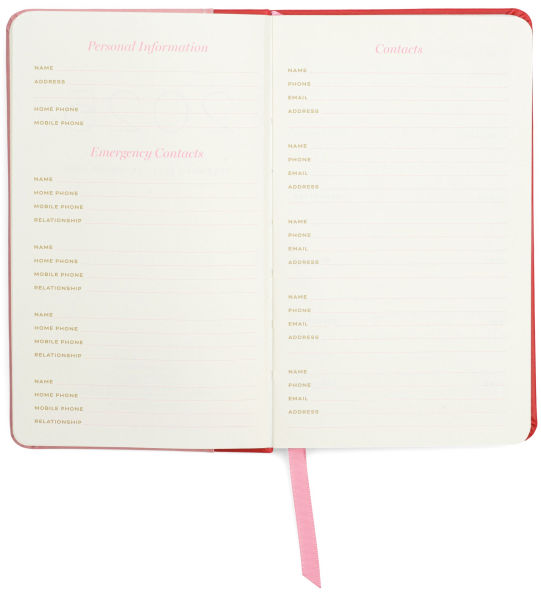 2025 Pink Colorblock 12-Month Pocket Weekly Planner