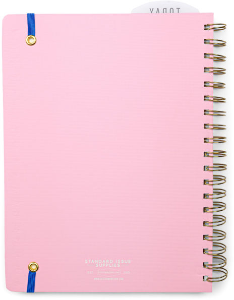 2025-2026 New Pink Standard Issue 7.5