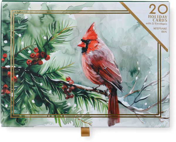 Cardinal On Pine Bough Boxed Christmas Cards Set of 20